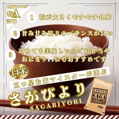 ふるさと納税 大町町 令和7年産『さがびより』白米20kg!(5kg×4袋)特A評価!五つ星お米マイスター厳選!(大町町) |  | 01