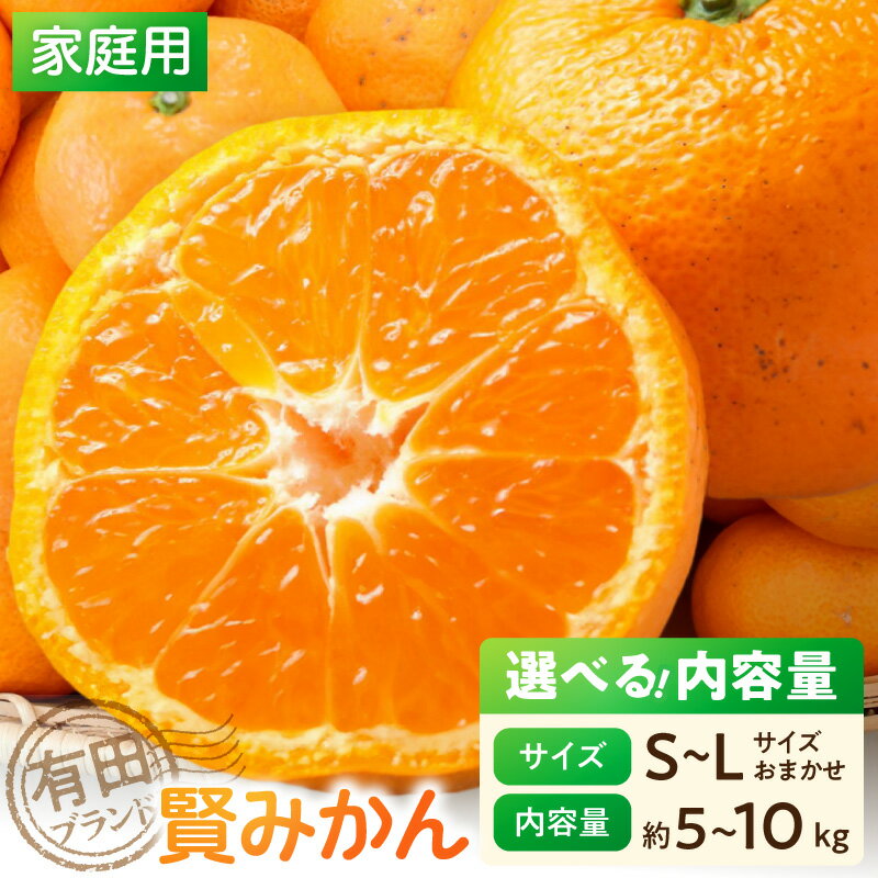 【ふるさと納税】【2026年先行予約】 【家庭用】 有田ブランド 賢みかん S〜Lサイズおまかせ 選べる 内容量 約5kg 約10kg みかん 柑橘 温州みかん 有田みかん おやつ 果物 果実 フルーツ お取り寄せ お取り寄せフルーツ 和歌山県 湯浅町 送料無料