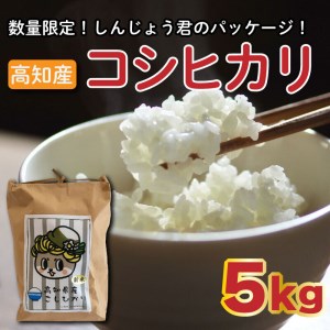 令和6年 新米 コシヒカリ 米 5kg 白米 こしひかり  高知 須崎産 産地直送 米 こしひかり 新米 おにぎり白米 新米 米 米 米 米 米 米 米 米 米 米 米 米 米 米 米 米 米 米 米 米 米 米 米 米 