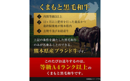 くまもと黒毛和牛 ヒレステーキ 500g 250g × 2枚 牛肉 冷凍 《1月中旬-4月末頃より出荷予定》 くまもと黒毛和牛 黒毛和牛 冷凍庫 個別 取分け 小分け 個包装 ステーキ肉 にも ヒレス