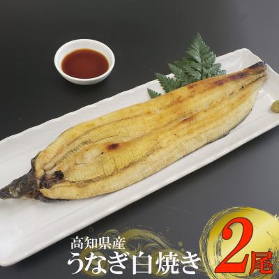 ふるさと納税 室戸市 徳さんこだわりの手焼き白焼きうなぎ【2尾】