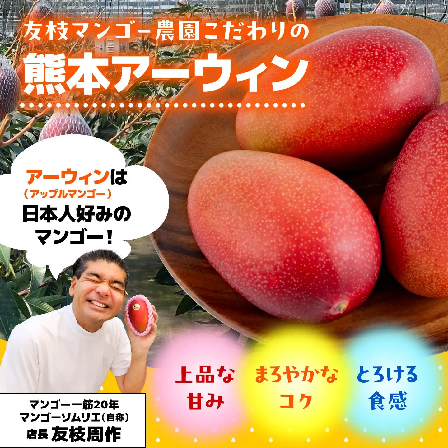【2027年6月上旬から順次発送】菊池マンゴー4L×1玉  友枝マンゴー農園[AYDF005]