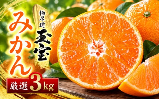 ＜愛媛名産＞玉宝みかん 3kg＜C64-26＞【1510734】 YWTY015