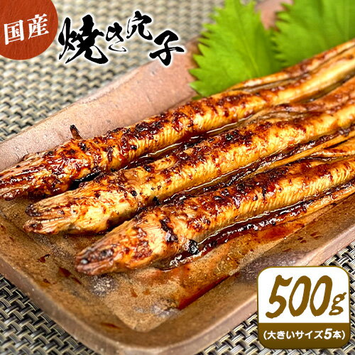 【ふるさと納税】穴子 焼穴子 たれ付き 約500g（国産・大きいサイズ約5本）備前海産有限会社《30日以内に出荷予定(土日祝除く》岡山県 備前市 あなご