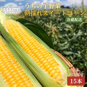 うちの子野菜　朝採れスイートコーン　15本 とうもろこし コーン セット