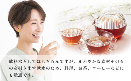 水 ミネラルウォーター 500ml 48本 ミネラルウォーター 水