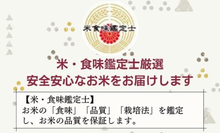 京都丹波産 米 食べ比べセット◇【京都丹波産 こしひかり きぬひかり 各5kg 計10kg】※米食味鑑定士厳選 ※精米したてをお届け【京都伏見のお米問屋が精米】京都丹波産 特Ａ ※沖縄本島・離島への配