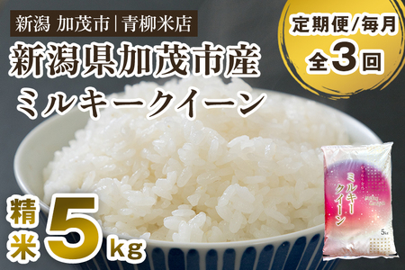 【令和8年産新米先行予約】【定期便3回毎月お届け】新潟県央地区 ミルキークイーン 精米5kg  《9月下旬～順次出荷》 白米 青柳米店 定期便 定期購入 定期