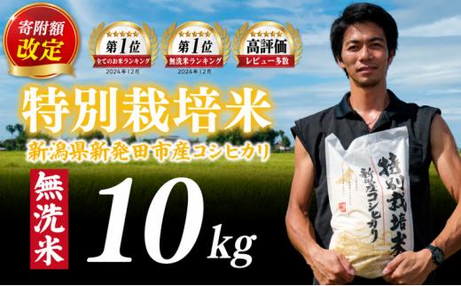 【寄附額改定 最短7日発送】無洗米 コシヒカリ 10kg 令和7年産 特別栽培米 こしひかり 米 お米 こめ コメ新潟米 新潟県産 新潟産 新潟 新潟県 新発田産 新発田 新発田市 斗伸 toushin011_05