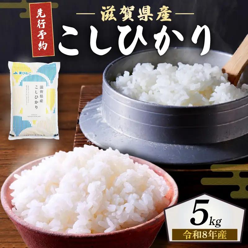 【先行受付】 新米 こしひかり 白米 5kg 令和8年産 近江米 令和8年 ご飯 コシヒカリ 先行予約