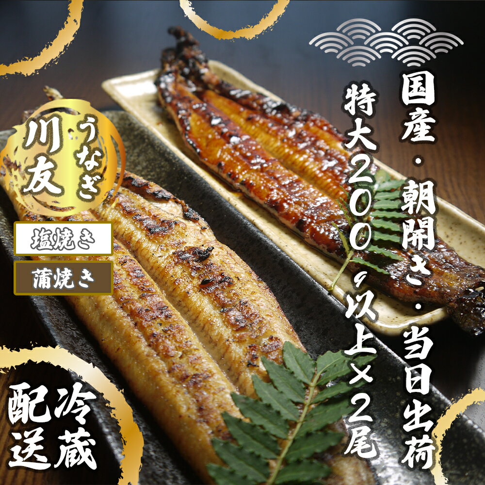 【ふるさと納税】朝開き国産うなぎ2尾（1尾あたり約200g） 蒲焼き・ 塩焼き 国産鰻 ウナギ（AK004）