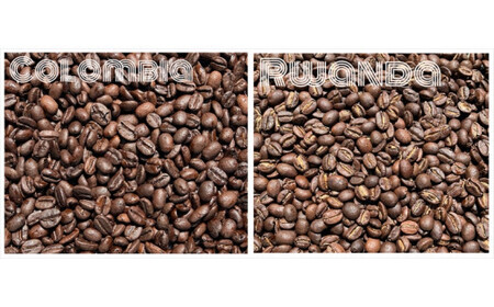 スペシャルティコーヒー 飲み比べセット【豆】 （５０g×６個）【 コーヒー 神奈川県 小田原市 】