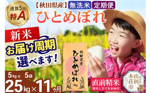 《令和8年産 新米受付》《定期便11ヶ月》【無洗米】通算5回特A 秋田県産ひとめぼれ 25kg(5kg×5袋)×11回  お届け周期調整 隔月に調整OK [米 無洗米 白米 特A 精米 秋田県 東北 お米 ひとめぼれ 小袋 小分け 直前精米 おいしい米 おすすめ]