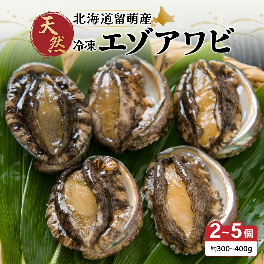 【ふるさと納税】あわび 北海道 天然 蝦夷アワビ 2～5個 産地直送 冷凍 魚貝 貝 殻付 海鮮 海産物 海の幸 魚介 魚介類 刺身 刺し身 お刺身 ステーキ バーベキュー BBQ アワビ 鮑 エゾアワビ 留萌産 留萌 留萌市