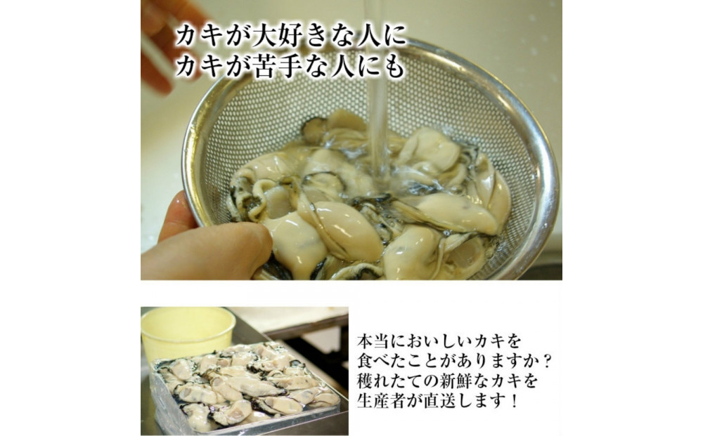 米田海産の広島かき むき身 500g 【加熱調理用】 （2026年12月より順次発送）