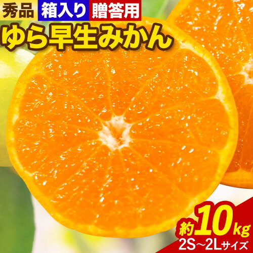 【ふるさと納税】【先行予約】秀品 贈答用 ゆら 早生みかん 約 10kg (2S〜2Lサイズ) 笑いの里のTommyファーム《2025年10月上旬-11月末頃出荷》和歌山県 日高川町 みかん 早生 贈答用 旬 柑橘 フルーツ 果物 ミカン 柑 産地直送 箱入り