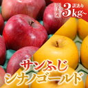 【ふるさと納税】先行予約 令和6年産 訳あり りんご サンふじ シナノゴールド 3kg 5kg 10kg 岩手県 金ケ崎町産 家庭用