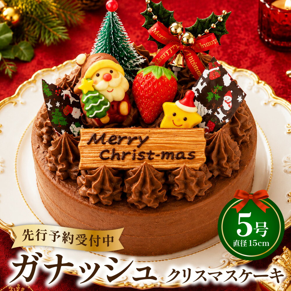 【ふるさと納税】クリスマスケーキ クリスマスガナッシュ 5号ホール【2026年12月18日から23日発送予定】｜ケーキ クリスマス 先行予約 予約 ホールケーキ ガナッシュケーキ 濃厚 チョコレート チョコ ケーキ屋 スイーツ 大阪府 阪南市 送料無料
