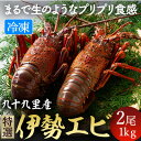 【ふるさと納税】あま～い!うま～い!リキッド凍結伊勢海老 刺身用 2尾1kg【配送不可地域：離島】【1570782】