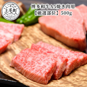 博多和牛A5焼き肉用【厳選部位】500g _KMP0303