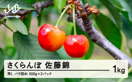 先行予約 さくらんぼ 佐藤錦 秀 L 1kg バラパック詰め 令和7年産 2025年産 山形県山辺町産 フルーツ 果物 sa-snpsl1000
