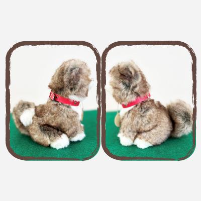 ふるさと納税 大館市 <よちよちあきた>秋田犬虎毛ぬいぐるみ　座り　Sサイズ |  | 02