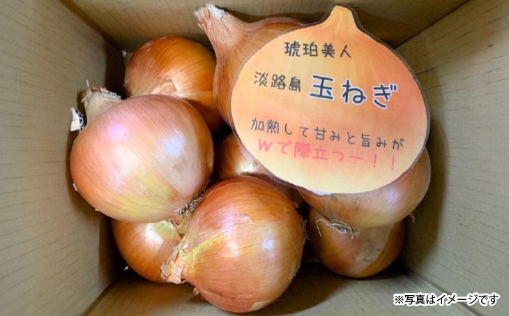 淡路島極熟玉葱3kg　シャーロットオニオン　玉ねぎ大国淡路島からの玉ねぎ