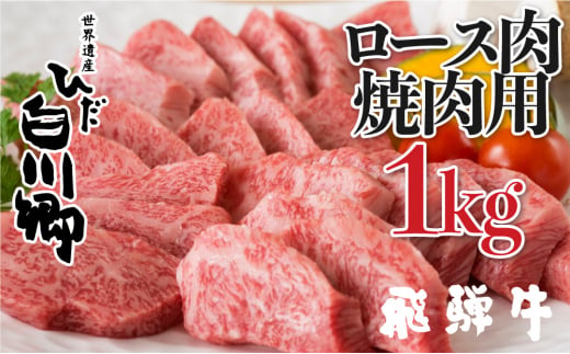 
飛騨牛 焼肉用 ロース肉 1kg JAひだ [S116]
