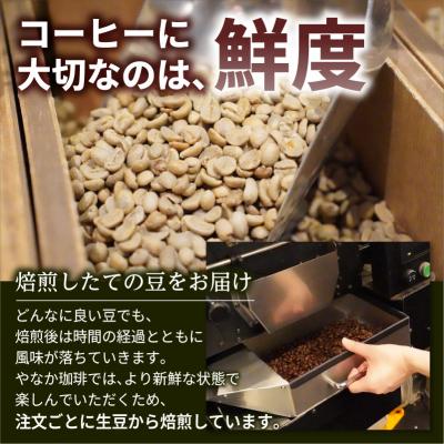 ふるさと納税 江東区 亀戸ブレンド　500g　コーヒー豆(豆のまま)　【kt071-001】 |  | 01