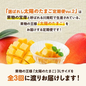 【3ヶ月定期便】選ばれし太陽のたまご定期便Vol.2 【 川南町産 くだもの マンゴー   】