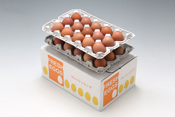 ＜7月中旬発送＞スズキのたまご 6か月定期便！ 地養卵30個（入金期限：2025.6.25） 7月中旬発送開始