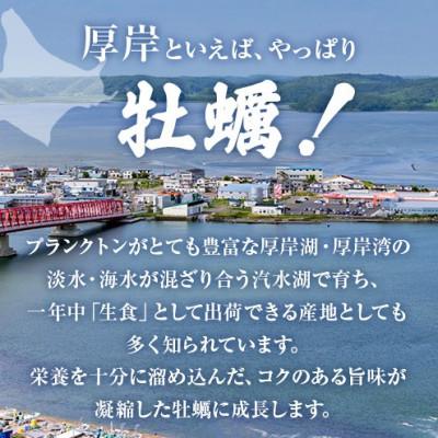 ふるさと納税 厚岸町 厚岸の牡蠣使用!金のかき醤油・金のオイスターソース　各2本　濃厚なカキの風味が楽しめる! |  | 01