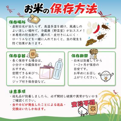ふるさと納税 境町 【令和7年産】 境町 白米 「コシヒカリ」 20kg(10kg×2袋) 数量限定 |  | 02