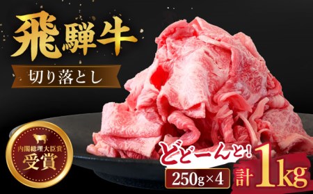 ＼贅沢な味わいをご家庭で／ 【飛騨牛】切り落とし 1kg (250g×4) 多治見市/肉のひぐち  牛肉 黒毛和牛 小分け 冷凍 バラ カレー しゃぶしゃぶ 牛丼 肉じゃが シチュー すき焼き 野菜炒め スライス 薄切り うす切り 国産 和牛 ブランド和牛 霜降り 飛騨牛 ご褒美 ごちそう ギフト 贈答 贈り物 送料無料  [TDC013]