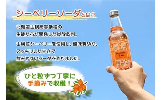 シーベリーのオレンジ色を生かした、見て爽やか、飲んで爽やかな甘酸っぱいソーダです。