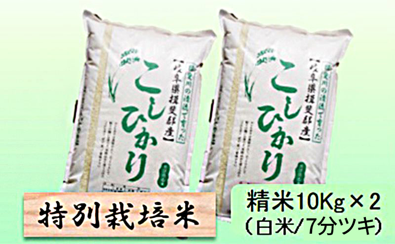 【令和7年産】特別栽培米 20kg【白米、7分ツキ】（コシヒカリ）