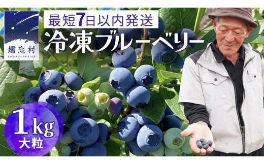 【 最短 7日以内 発送 】 冷凍ブルーベリー 大粒 1kg 数量限定 国産 フルーツ スムージー 果物 くだもの 農家直送 スイーツ アイス ノーザンハイブッシュ系 ミックス [AT015tu]