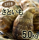 【ふるさと納税】四万十町産「土付きさといも」5.0kg Fiz-06 農産物 新鮮 里芋 里いも 野菜