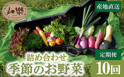 旬 の 野菜 詰め合わせ セット 10回 定期便 7 ~ 9 品【2025年5月以降順次発送】 お楽しみ 産地直送 農家直送 季節 春 夏 秋 冬 露地野菜 やさい サラダ 農薬 化学肥料 不使用 下関 山口