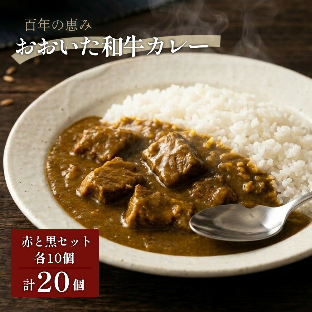 【ふるさと納税】百年の恵み おおいた和牛カレー 赤と黒セット 各10個 計20個