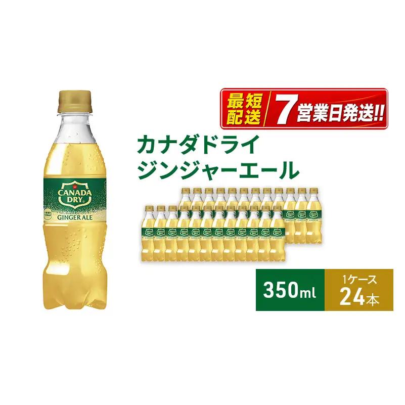ジンジャーエール 350ml 炭酸飲料 コカ・コーラ 
