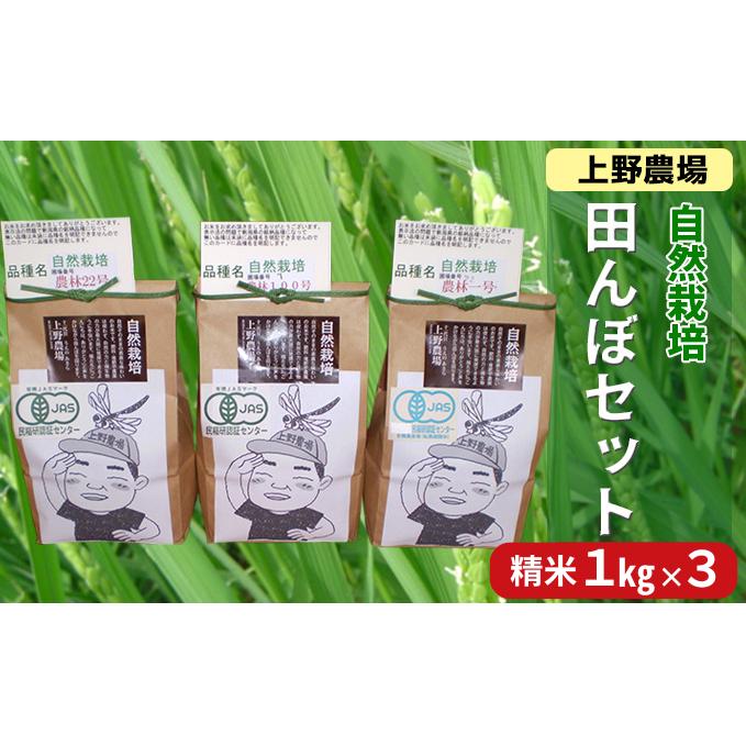 上野農場 自然栽培田んぼセット 精米1kg×3袋 お米 