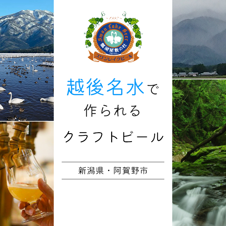 【スワンレイクビール】 6ヶ月定期便 金賞 3本セット 新潟 ブルワリー クラフトビール 地ビール エール ポーター 贈答 ギフト クール便 1S11041