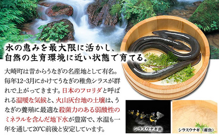 国産 うなぎ 蒲焼き（無頭 約180g前後）×3尾 タレ＆山椒付 贈答用BOX入り【甲羅組 化粧箱入り 贈答 ギフト 長焼 うな重 うな丼 ひつまぶし 鰻 蒲焼 惣菜 丑の日 お中元 お歳暮 人気 高