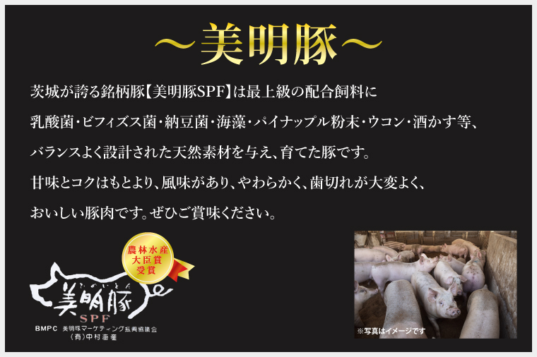 【6ヶ月定期便】【常陸牛 A5ランク・美明豚焼肉セット】常陸牛カルビ360ｇ＋美明豚400ｇ（ロース200ｇ・ばら200ｇ） 冷凍 国産牛 和牛 牛肉 豚肉　ブランド豚 茨城県 水戸市 食べ比べ セッ