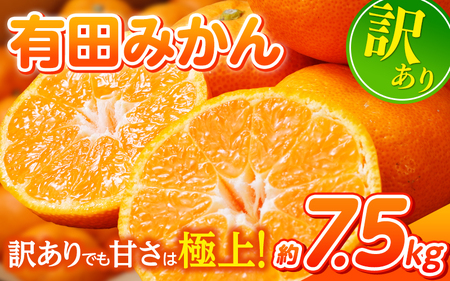 訳あり　有田みかん 約7.5kg  サイズ混合 ※2025年11月中旬より順次発送予定（お届け日指定不可）※北海道・沖縄・離島への配送不可 【nuk157D】 