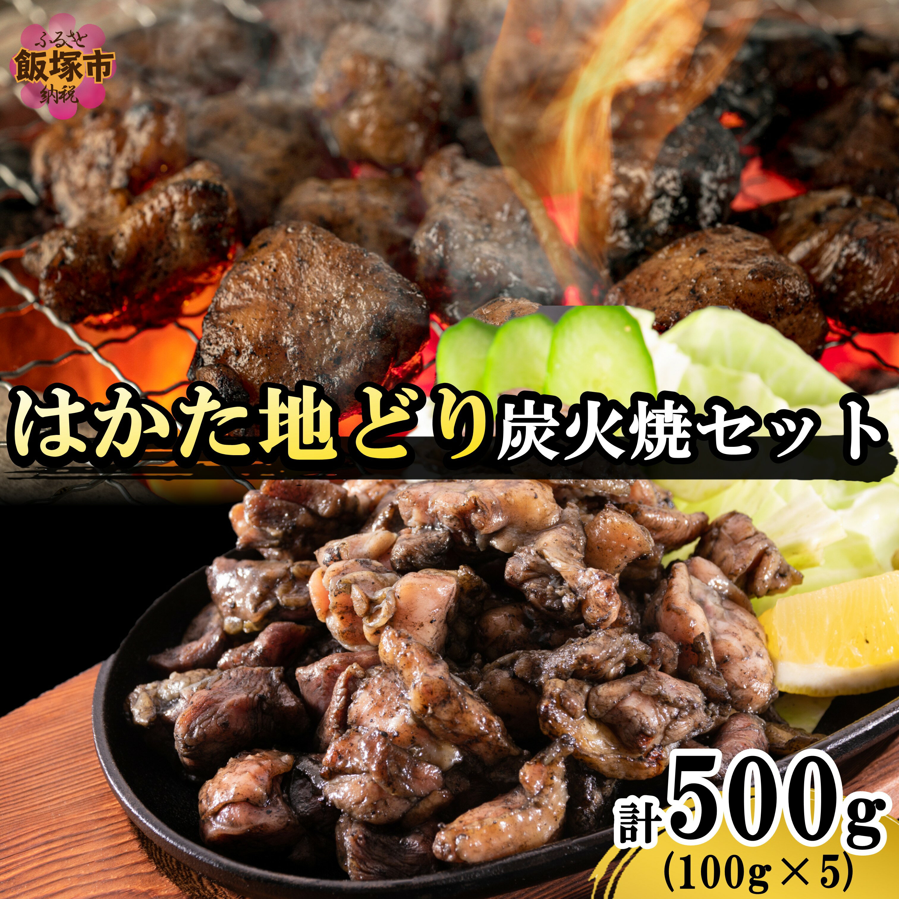 【ふるさと納税】はかた地どり炭火焼きセット500g【A4-043】