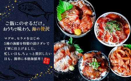 海鮮丼 海鮮漬け丼 5種セット 10パック マグロ 海鮮丼
