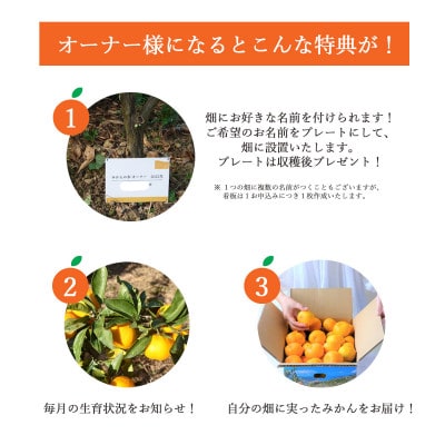 自分の畑が持てる!オーナー制度:C製品堪能プラン【H25−113】ミヤモトオレンジガーデン【1411129】