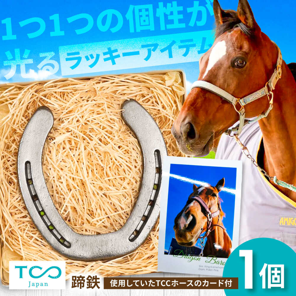 【ふるさと納税】TCCホースシュー 世界に一つだけの蹄鉄 / 競馬 馬 競走馬 グッズ インテリア 幸運 / 栗東市 / 株式会社TCC Japan[BIAV003]